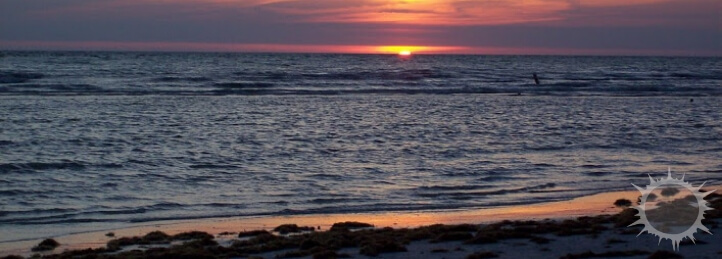 Palm Harbor