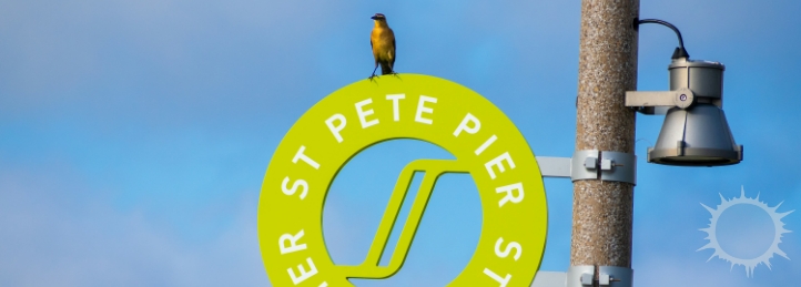 St. Petersburg