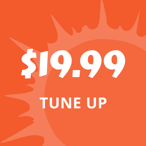 $19.99 Tune up