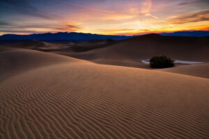 desert-landscape