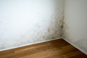 mold-in-corner