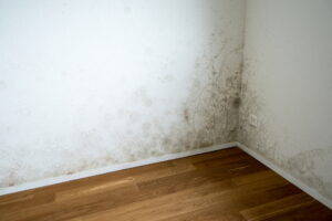 mold-in-an-empty-room